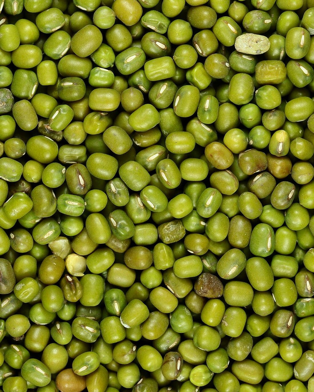Whole green gram, also known as mung beans.